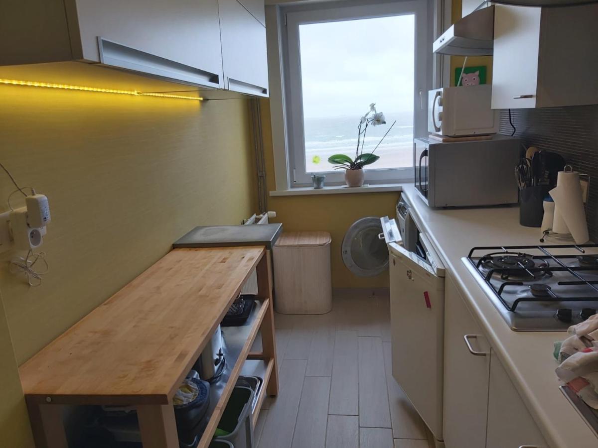 Appartement Met Zeezicht بلانكنبرخ المظهر الخارجي الصورة